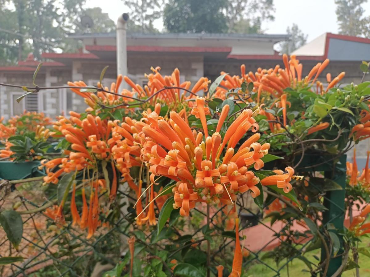 فندق Coorg Kolamotte Gonikoppal المظهر الخارجي الصورة