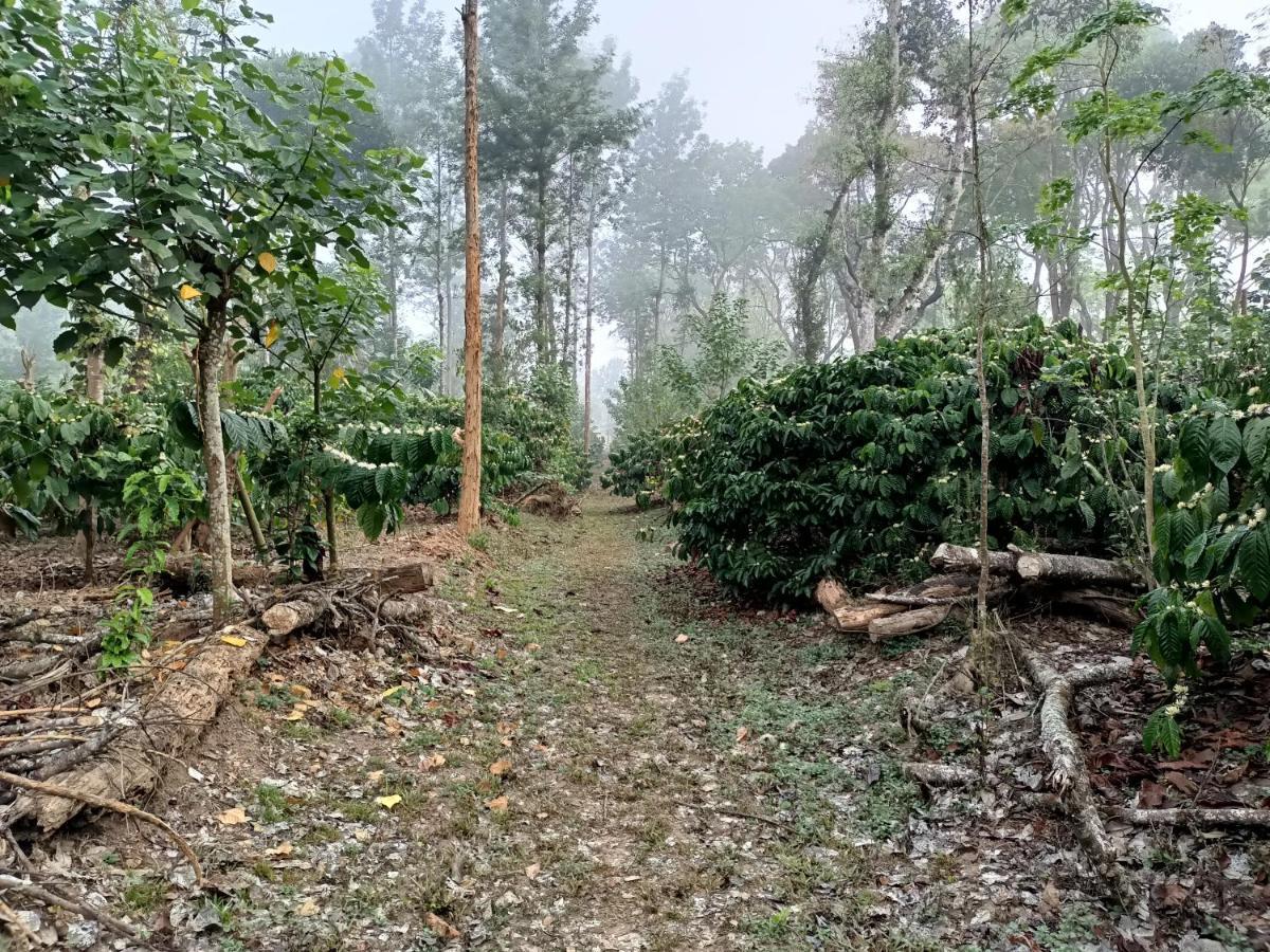 فندق Coorg Kolamotte Gonikoppal المظهر الخارجي الصورة