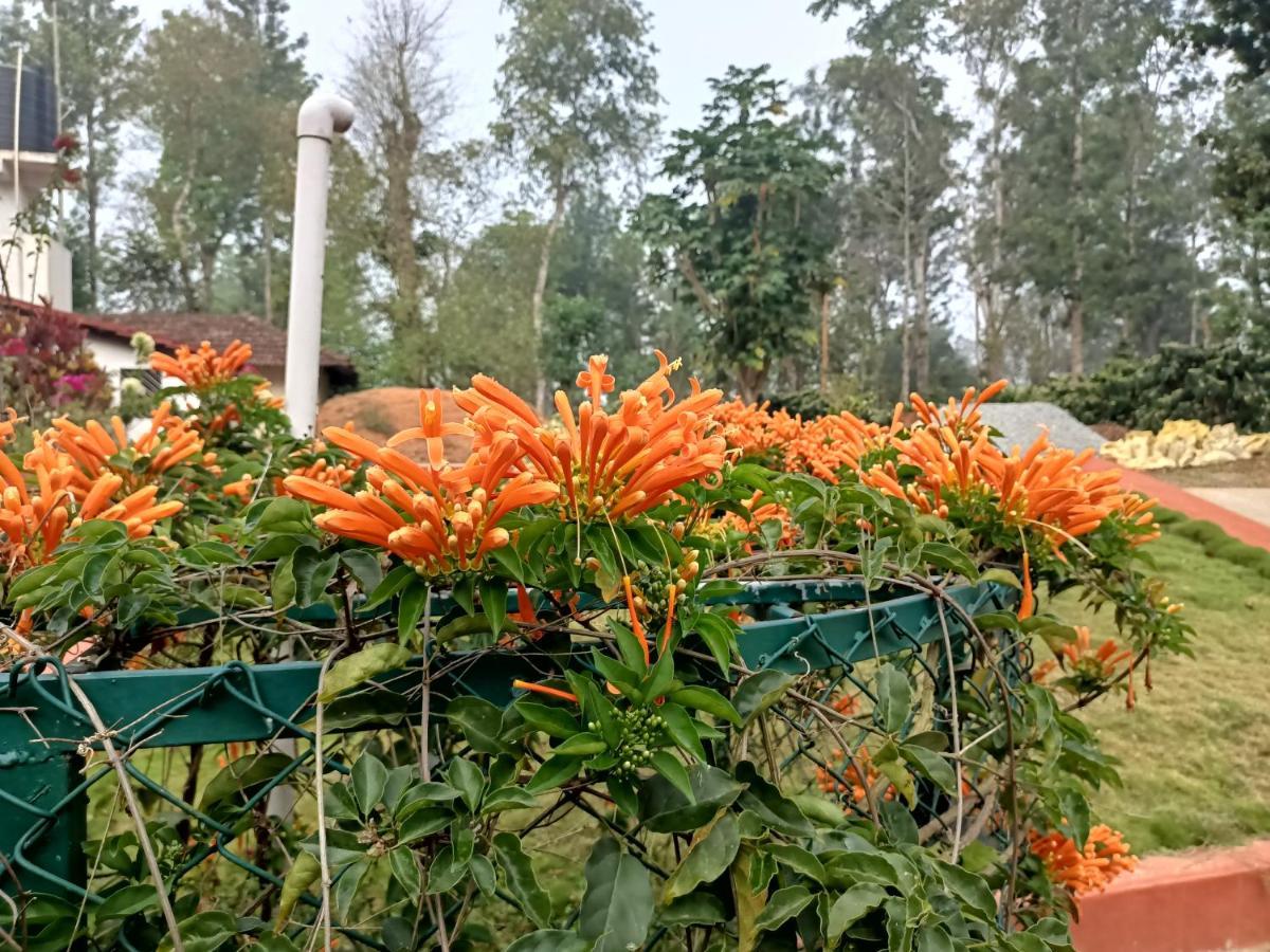 فندق Coorg Kolamotte Gonikoppal المظهر الخارجي الصورة