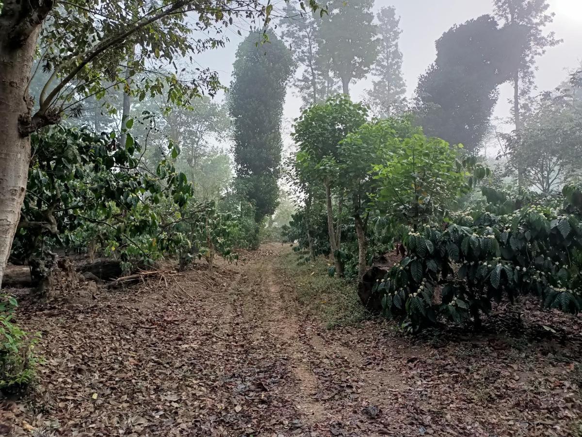فندق Coorg Kolamotte Gonikoppal المظهر الخارجي الصورة