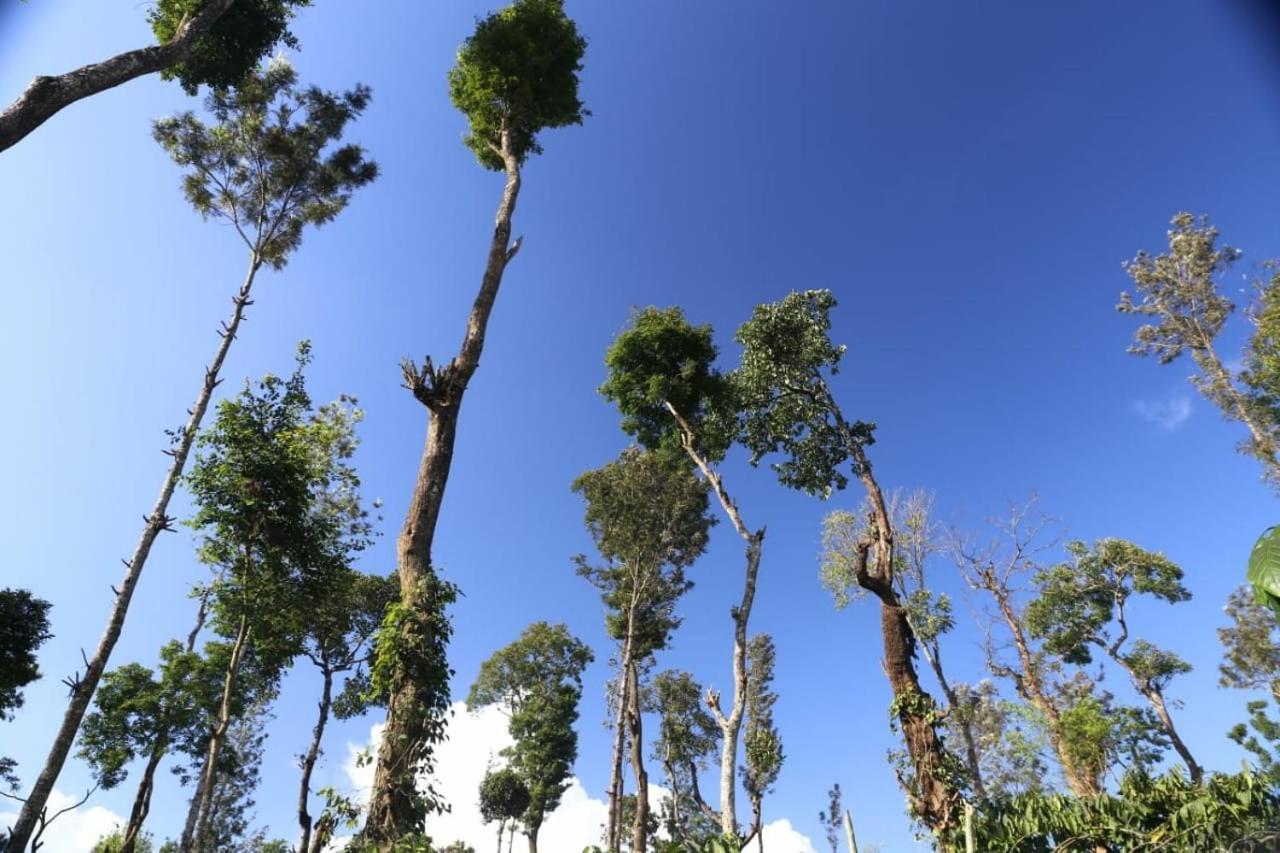 فندق Coorg Kolamotte Gonikoppal المظهر الخارجي الصورة