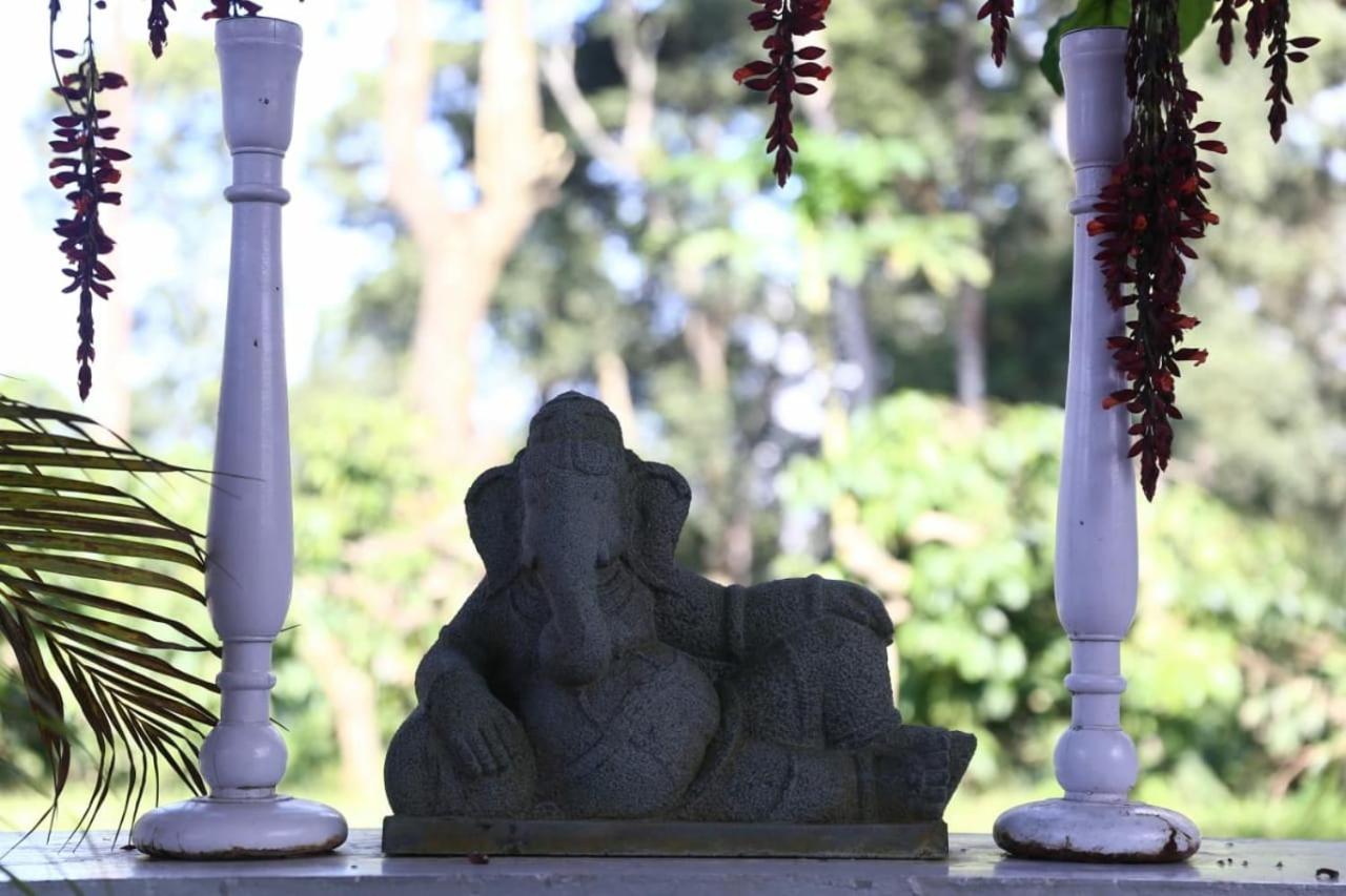 فندق Coorg Kolamotte Gonikoppal المظهر الخارجي الصورة